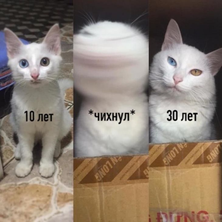 чихнул 30лет 9