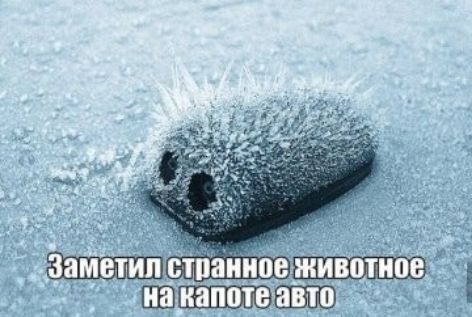 Запишите это папаша