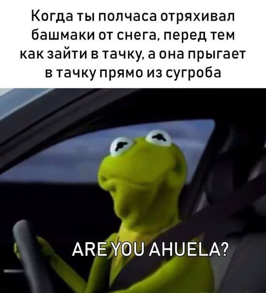 Когда ты полчаса отряхивал башмаки от снега перед тем как зайти в тачку а она прыгает в тачку прямо из сугроба АНЕЪЮЦ АНЦЕЬА
