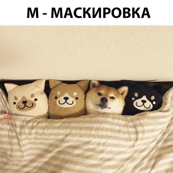 М МАСКИРОВКА