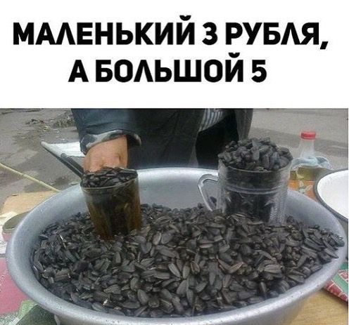 ммвнький з вузш А водьшои 5