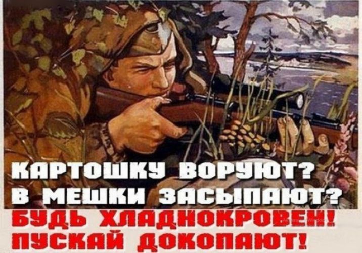 д 11 СК ЦОПОППЮТ