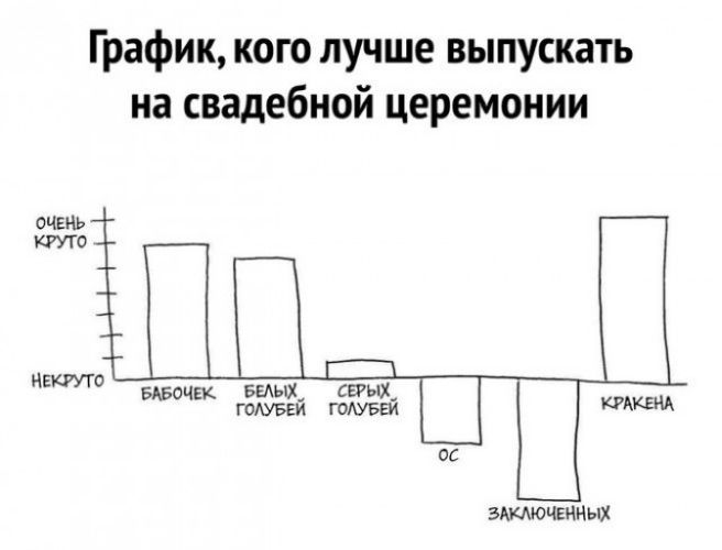 График кого лучше выпускать на свадебной церемонии ОЧЕНЬ НБКИТО БАБОЧЕК Вельш СЕРЫЖ ГОАУБЕИ ГОАУБЕИ АКМ ОС ЗАКЛЮЧЕННЫХ