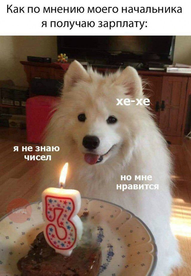 Как по мнению моего начальника я получаю зарплату Я не знаю чисел