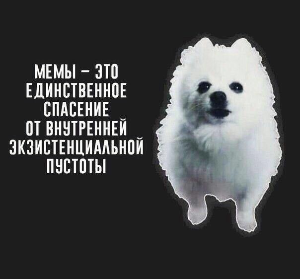 МЕМЫ ЭТП ЕДИНСТВЕННПЕ СПАСЕНИЕ _ П ВННТРЕННЕИ _ ЗКЗИСТЕНЦИААЬНПИ ПНСТПТЫ