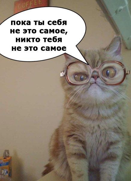 пока ты себя не это самое никто тебя не это самое