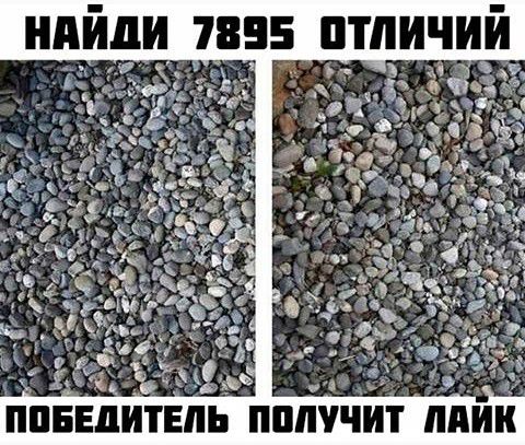 ИИИДИ 7855 ИШИИИИ ИПБЕЦИТЕИЬ ИПИУИИТ ПИИ