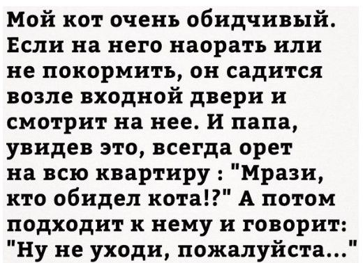 Мой кот очень обидчивый Если на него наоратъ или не покормить он садится возле входной двери и смотрит на нее И папа увидев это всегда орет на всю квартиру Мрази кто обидел кота А потом подходит к нему и говорит Ну не уходи пожалуйста