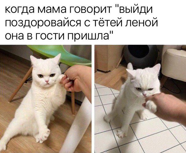 когда мама говорит выйди поздоровайся с тётей пеной она в гости пришла