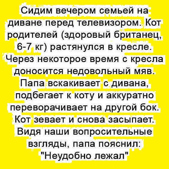 Сидим вечером семьей на диване перед телевизором Кот родителей здоровый британец 6 7 кг растянулся в кресле Через некоторое время с кресла доносится недовольный мяв Папа вскакивает дивана подбегает к коту и аккуратно переворачивает на другой бок Кот зевает и снова засыпает Видя наши вопросительные взгляды папа пояснил Неудобно лежал
