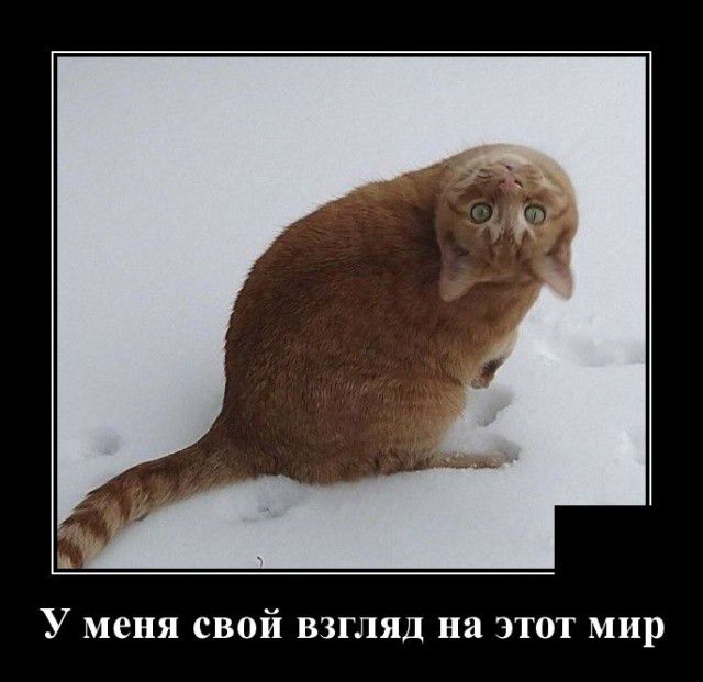 У меня свой взгляд на этот мир
