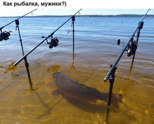Как рыбалка мужики