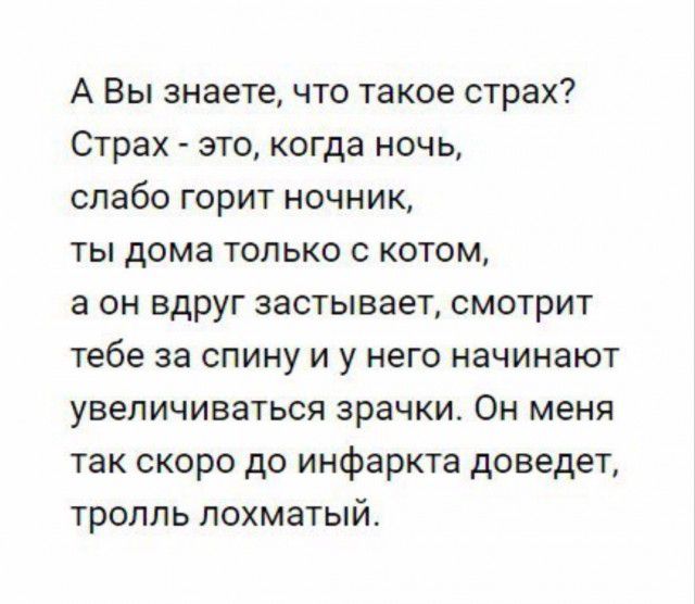 А Вы знаете что такое страх Страх это когда ночь слабо горит ночник ты дома только с котом а он вдруг застывает смотрит тебе за спину и у него начинают увеличиваться зрачки Он меня так скоро до инфаркта доведет тролль лохматый