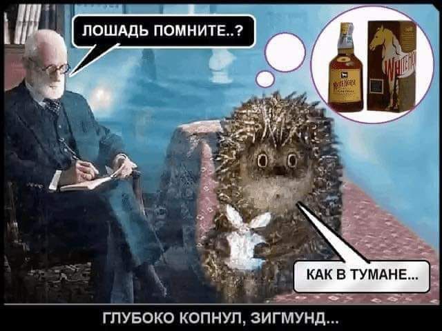 ГПУБОКО КОПНУЛ ЗИГМУНД