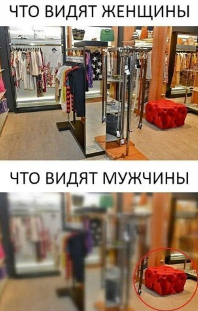 ЧТО ВИДЯТ ЖЕНЩИНЫ