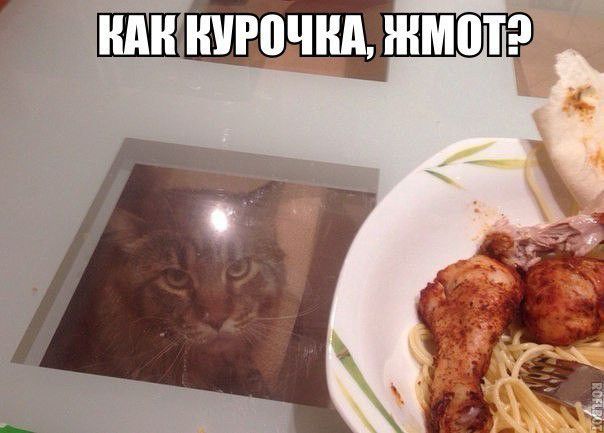 Е ндншюннджмотэ