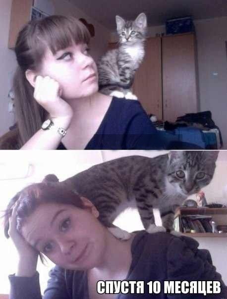 ЁЁ к фм і шпионам