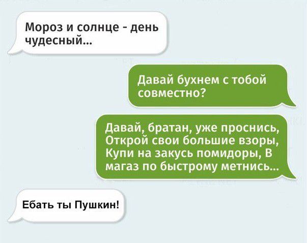 Морози сопнце день чудесный давай бухнем с тобой совместно Давай братан уже проснись Открой свои большие взоры Купи на закусь помидоры в магаз по быстрому метнись Ебать ты Пушкин