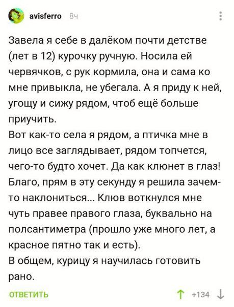ауіііегго Завела я себе в далёком почти детстве лет в 12 курочку ручную Носила ей червячков рук кормила она и сама ко мне привыкла не убегала А я приду к ней угощу и сижу рядом чтоб ещё больше приучить Вот как то села я рядом а птичка мне в лицо все заглядывает рядом топчется чего то будто хочет да как кпюнет в глаз Благо прям в эту секунду я решила зачем то наклониться Клюв воткнулся мне чуть пра