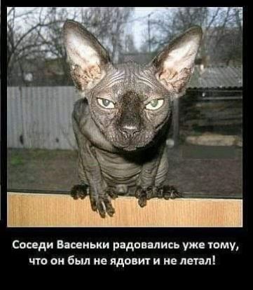 Соседи Бяииьки радон лись уже тому чт ом был не ядовит и не летал