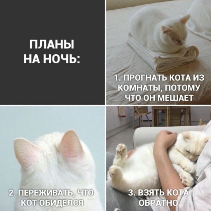 ПЛАНЫ НА НОЧЬ Йыатд _ь_котА из тушш 1потому тонмвшдвт