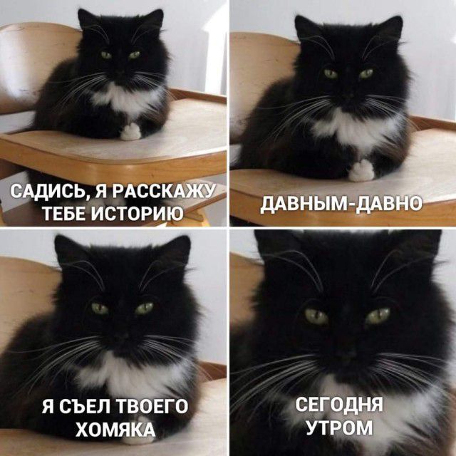 Я СЪЕЛ ТЕБЕГО хомядф