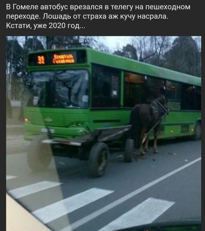 В Гомеле автобус врезался в телегу на пешеходном переходе Лошадь от страха аж кучу насрапа Кстати уже 2020 год к яг д 1 _