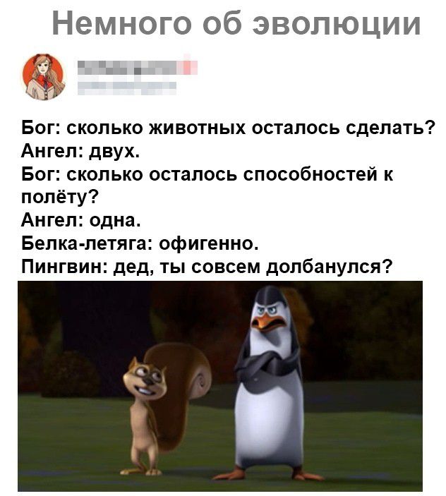 Немного об эволюции Бог сколько животных осталось сделать Ангел двух Бог сколько осталось способностей к полёту Ангел одна Бепка летяга офигенно Пингвин дед ты совсем долбанулся