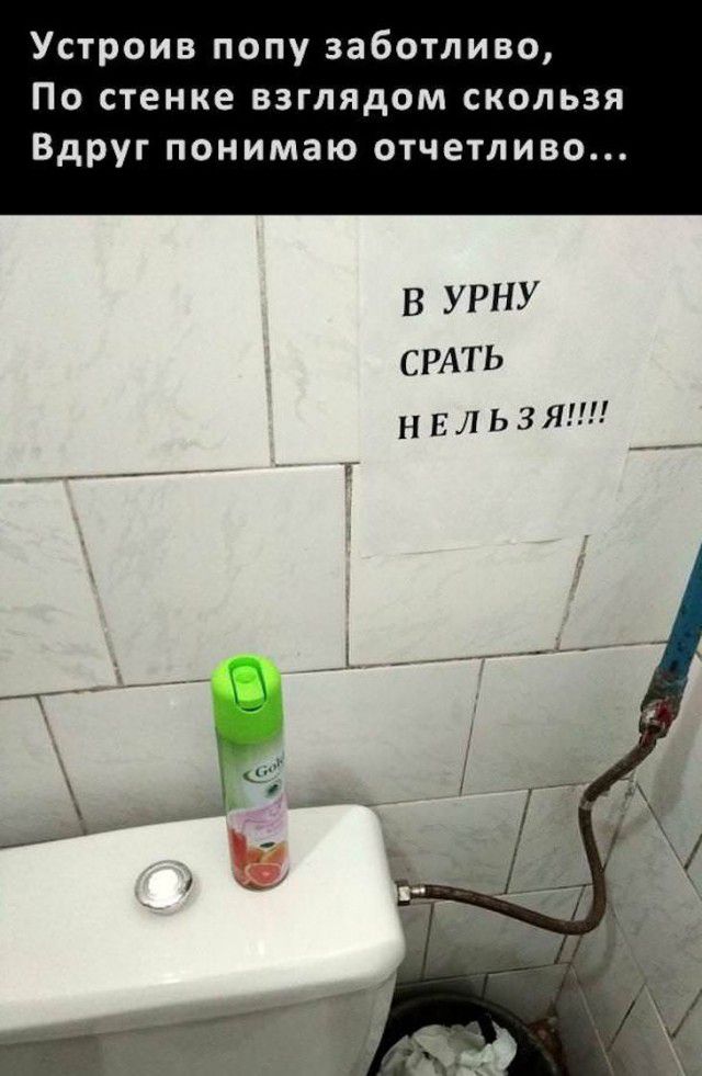 Устроив попу заботливо По стенке взглядом скользя Вдруг ПОНИМЗЮ ОТЧЕТЛИВО В У РНУ СРАТЬ