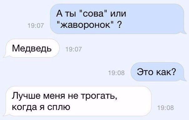 Аты сова или жаворонок Медведь Это как Лучше меня не трогать когда я сплю