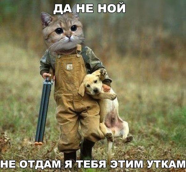дАіНЕ НОЙ Е Ё а ъ нЕдОТДАм ТЕБЯ ЭТИМ УТКАМ