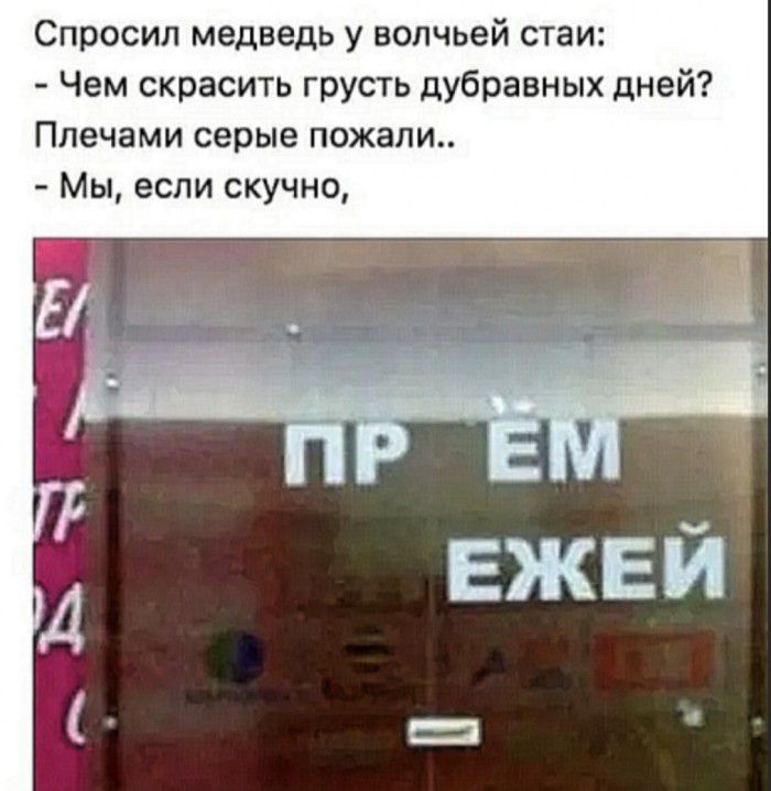 Спросил медведь у волчьей стаи Чем скрасить грусть дубравных дней Плечами серые пожали Мы если скучно