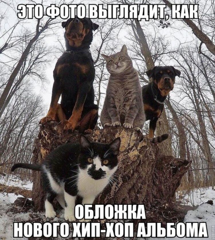 ь довпожнд нового хип хоп дпьвомд