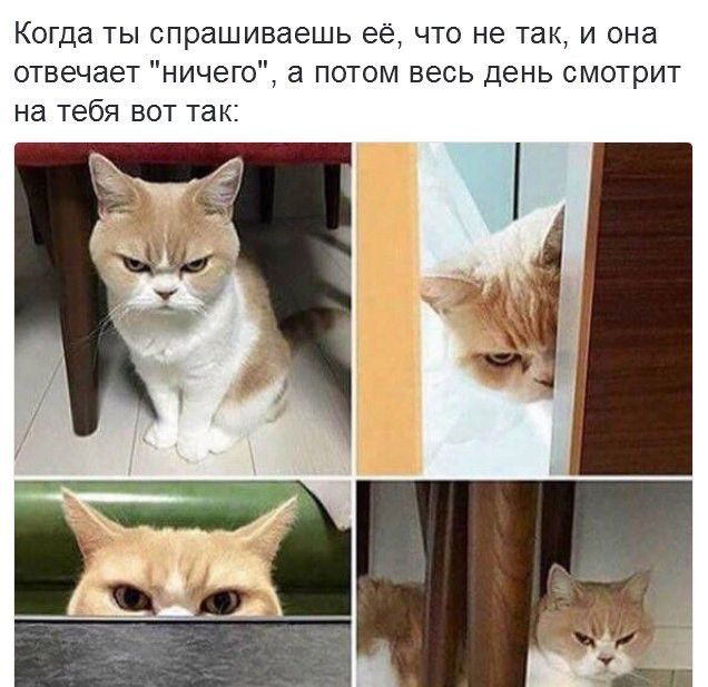 Когда ты спрашиваешь её что не так и она отвечает ничего а потом весь день смотрит на тебя вот так