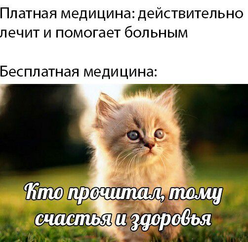 Платная медицина действительно лечит и помогает больным Бесплатная медицина