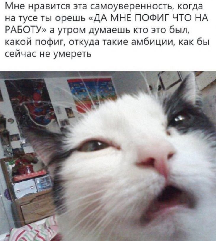 Мне нравится эта самоуверенность когда на тусе ты орешь ДА МНЕ ПОФИГ ЧТО НА РАБОТУ а утром думаешь кто это был какой пофиг откуда такие амбиции как бы сейчас не умереть