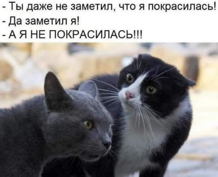ТЫ даже не 38М9ТИП ЧТО Я ПОКРЭСИПЭСЬ Да заметил я А Я НЕ ПОКРАСИЛАСЬ _ _