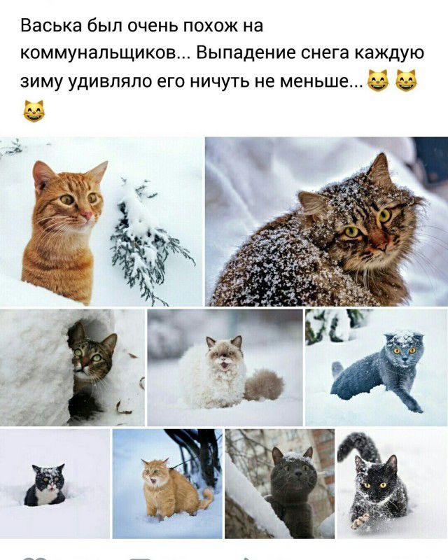 Васька был очень ПОХОЖ на КОММУНЭЛЬЩИКОБ Выпадение снега Каждую ЗИМУ УДИВЛЯЛО его НИЧУТЬ не меньше