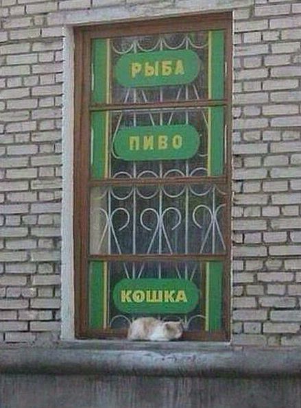 _