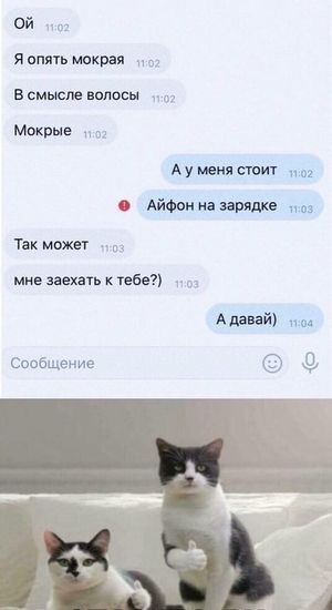 ОЙ на я опять мокрая в смысле волосы мокрые душил шит АйФпн на ы Так имт мне мышь тебе в кидай пм Свпбщение