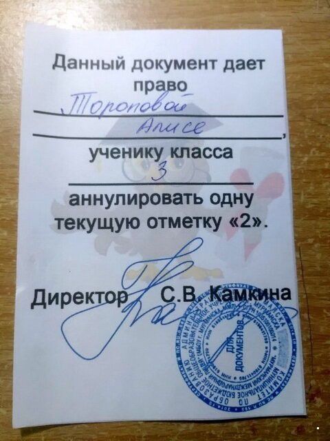 Дам кумент дает право ученику класса аннулировать одну текущую отметку 2