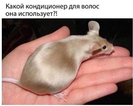 Какой кондиционер для волос она использует