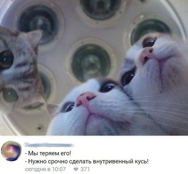 а 5 Мы теряем его Нужно срочно сделать внутривенный кусь сгпдня тп т 71