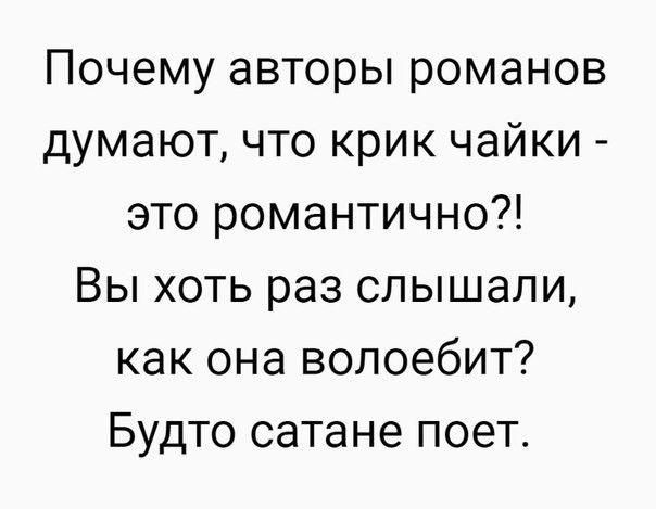 Почему авторы романов думают что крик чайки это романтично Вы хоть раз слышали как она волоебит Будто сатане поет