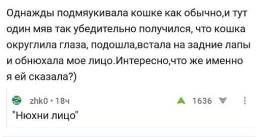 Однажды подмяукивала кошке как обычном тут один мяв так убедительно получился что кошка округлипа глаза подошпадстапа на задние лапы и обнюхапа мое пицоИнтереснонто же именно я ей сказала шип твц А 1635 Нюхнипицо