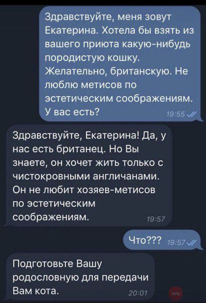 Здравствуйте меня зовут Екатерина Хотела бы взять из вашего приюта какуюнибудь породистую кошку Желательно британскую Не люблю метисов по эстетическим соображениям У вас есть 1955 м Здравствуйте Екатерина Да у нас есть британец Но Вы знаете он хочет жить только с чистокровными англичанами Он не любит хозяев метисов по эстетическим соображениям Что 19 57 м Подготовьте Вашу родословную для передачи 