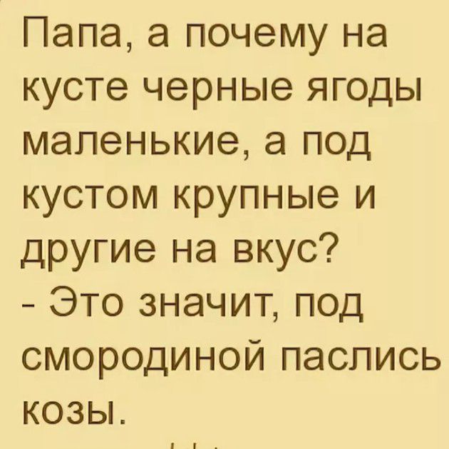 Папа а почему на кусте черные ягоды маленькие а под кустом крупные и другие на вкус Это значит под СМОРОДИНОЙ ПЭСЛИСЬ КОЗЫ