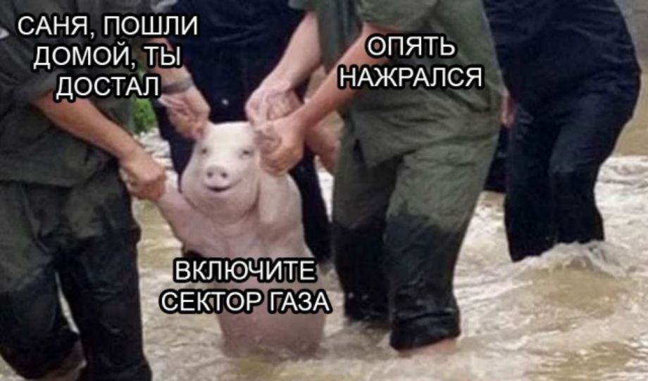 САНЯ пршпи домои тп