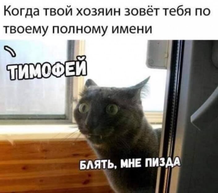 Когда твой хозяин зовёт тебя по твоему полному имени мять МНЕ ПММ