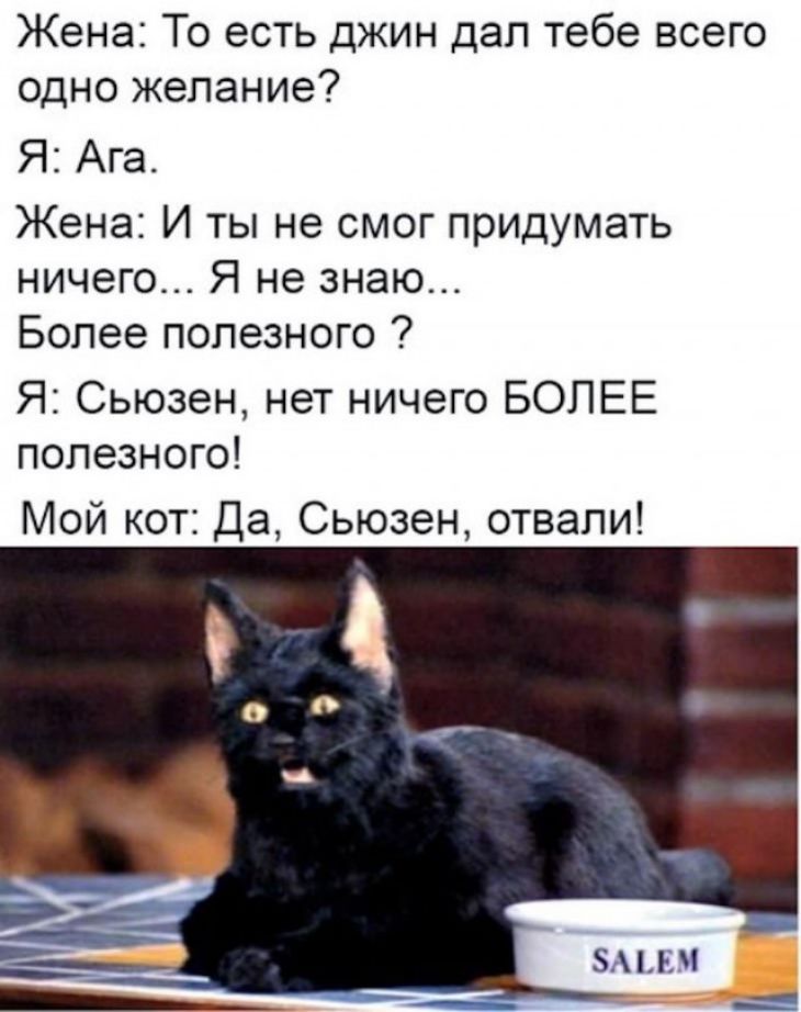 Жена То есть джин дал тебе всего одно желание Я Ага Жена И ты не смог придумать ничего Я не знаю Более полезного Я Сьюзен нет ничего БОЛЕЕ полезного Мой кот Да Сьюзен отвали